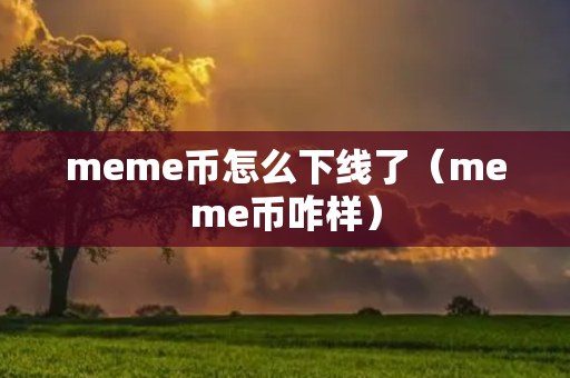 meme币怎么下线了（meme币咋样）