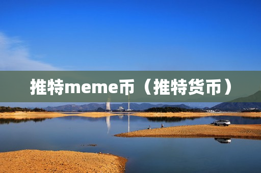 推特meme币（推特货币）