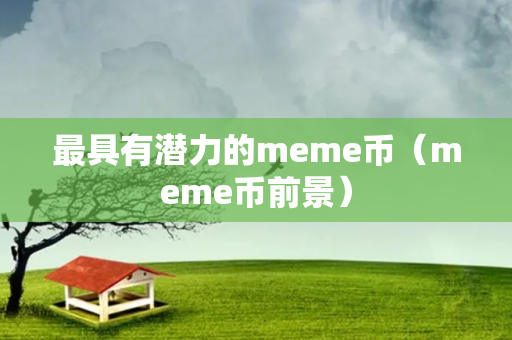 最具有潜力的meme币（meme币前景）