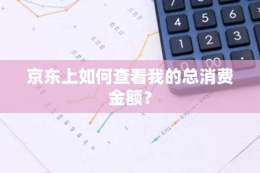 京东上如何查看我的总消费金额？