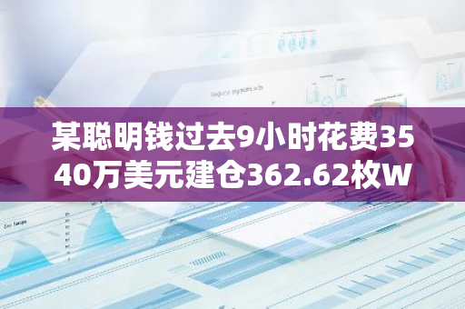 某聪明钱过去9小时花费3540万美元建仓362.62枚WBTC