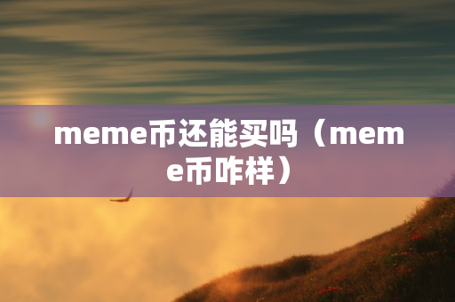 meme币还能买吗（meme币咋样）