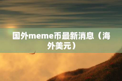 国外meme币最新消息（海外美元）