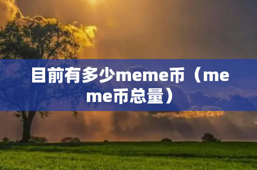 目前有多少meme币（meme币总量）