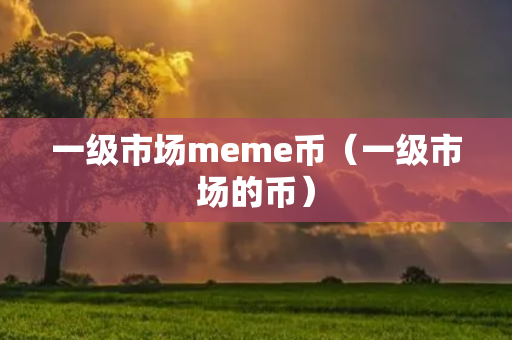 一级市场meme币（一级市场的币）