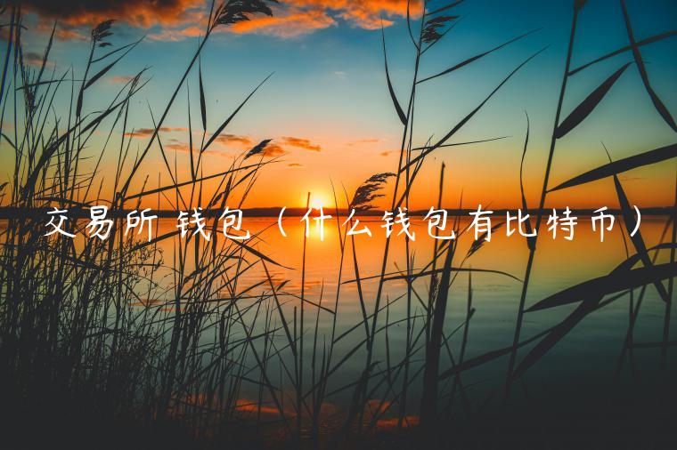 交易所 钱包（什么钱包有比特币）