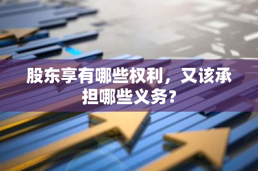 股东享有哪些权利，又该承担哪些义务？