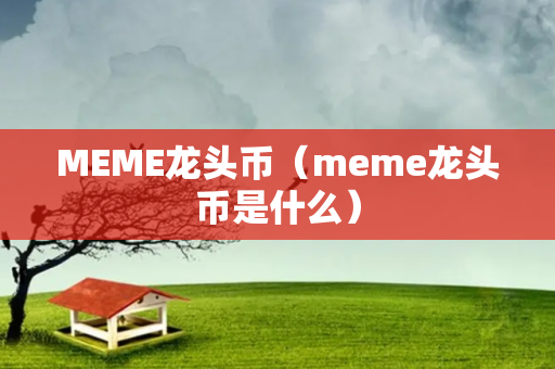 MEME龙头币（meme龙头币是什么）