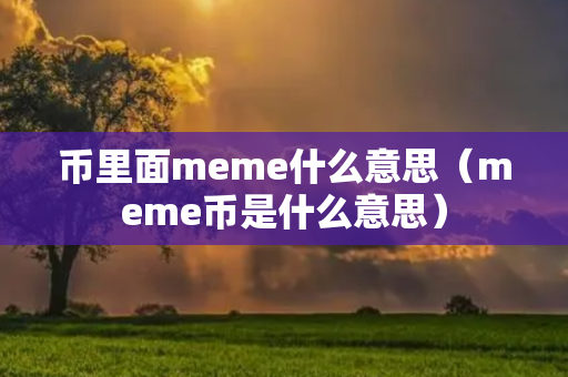 币里面meme什么意思（meme币是什么意思）