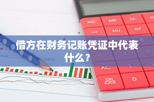 借方在财务记账凭证中代表什么？