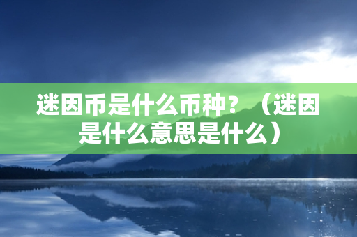 迷因币是什么币种？（迷因是什么意思是什么）