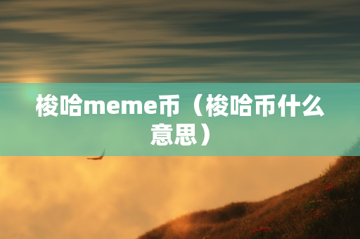 梭哈meme币（梭哈币什么意思）