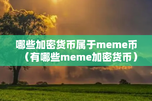 哪些加密货币属于meme币（有哪些meme加密货币）