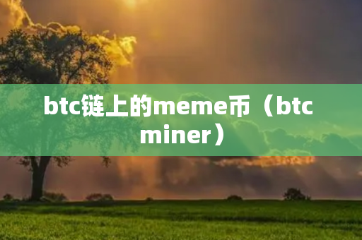 btc链上的meme币（btc miner）