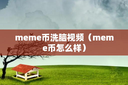 meme币洗脑视频（meme币怎么样）