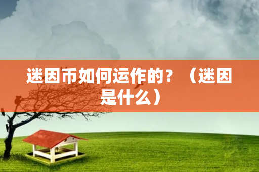 迷因币如何运作的？（迷因是什么）