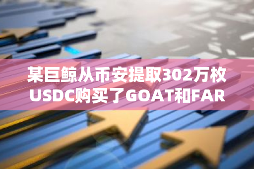 某巨鲸从币安提取302万枚USDC购买了GOAT和FARTCOIN