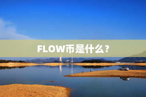 FLOW币是什么？