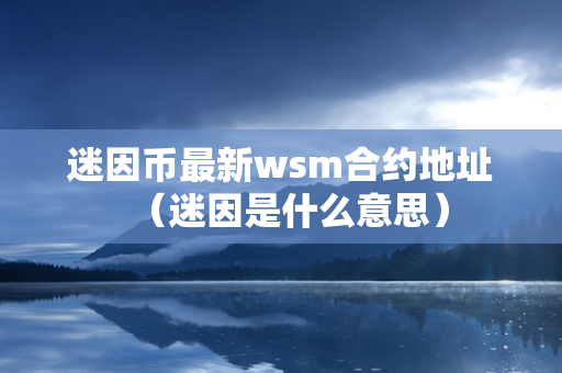 迷因币最新wsm合约地址（迷因是什么意思）