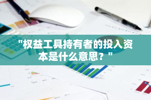 "权益工具持有者的投入资本是什么意思？"