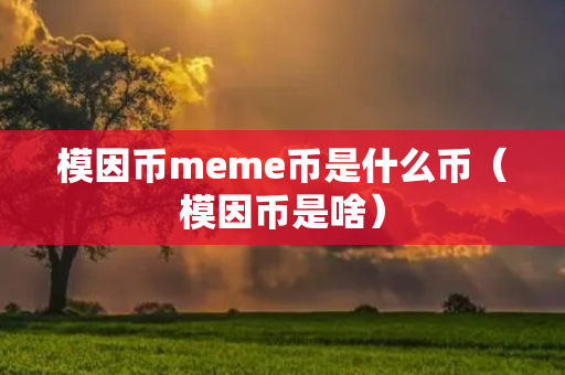 模因币meme币是什么币（模因币是啥）