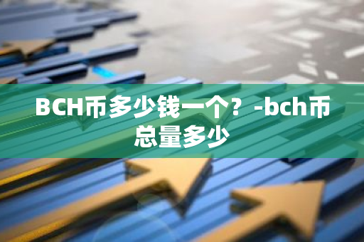 BCH币多少钱一个？-bch币总量多少