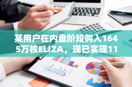 某用户在内盘阶段购入1645万枚ELIZA，现已实现112万美元的盈利