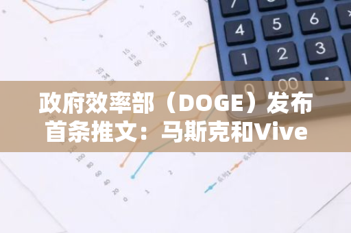 政府效率部（DOGE）发布首条推文：马斯克和Vivek将亲自审核前1%申请者简历