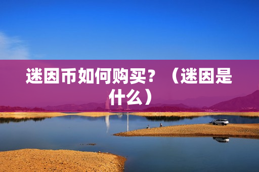 迷因币如何购买？（迷因是什么）