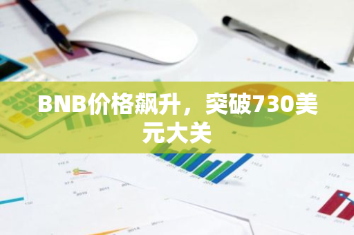 BNB价格飙升，突破730美元大关