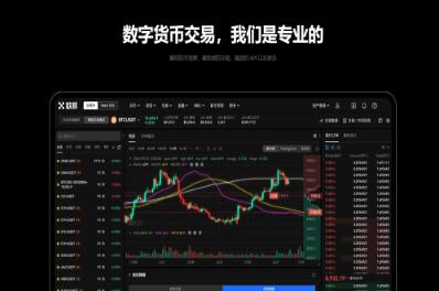 苹果怎么下载ok交易所软件最新_OK交易所App安装指南