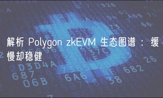 解析 Polygon zkVM 生态图谱 ：缓慢却稳健