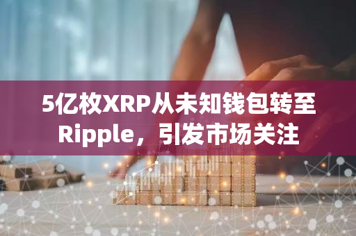 5亿枚XRP从未知钱包转至Ripple，引发市场关注