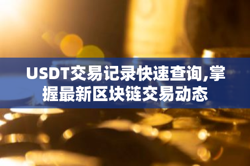 USDT交易记录快速查询,掌握最新区块链交易动态