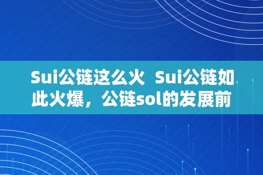 Sui公链这么火 Sui公链如此火爆，公链sol的发展前景如何？