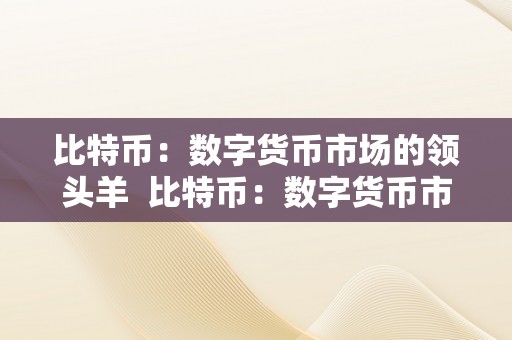 比特币：数字货币市场的领头羊 比特币：数字货币市场的领头羊