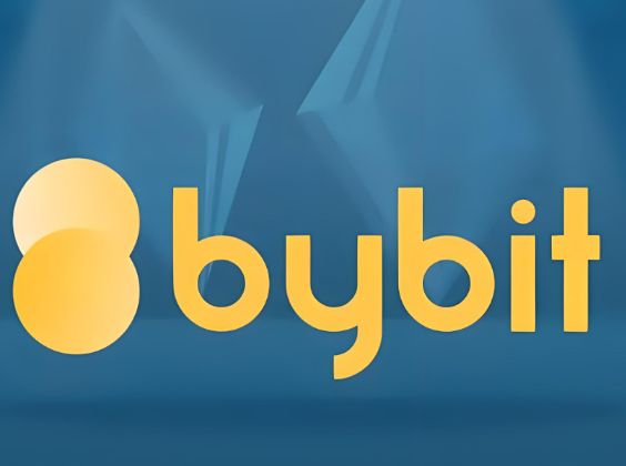 Bybit如何链上提币