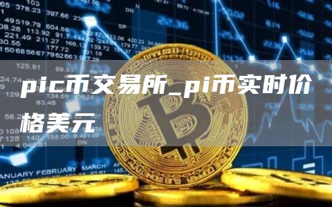 pic币交易所_pi币实时价格美元