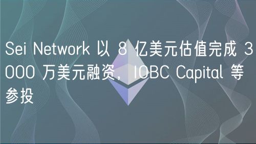 Si Ntwork 以 8 亿美元估值完成 3000 万美元融资，IOBC Capital 等参投