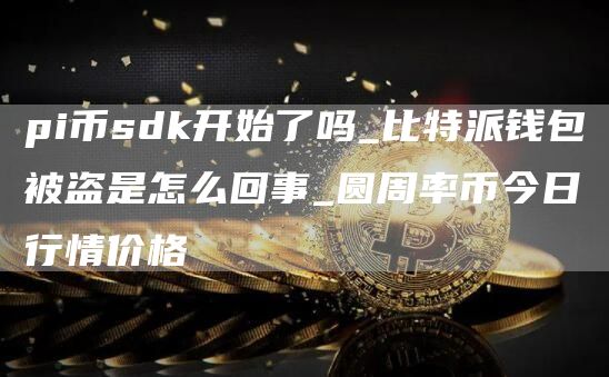 pi币sdk开始了吗_比特派钱包被盗是怎么回事_圆周率币今日行情价格