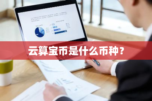 云算宝币是什么币种？