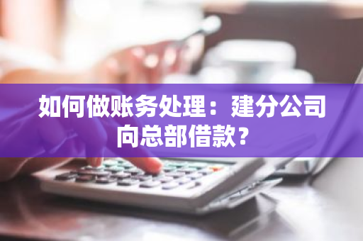 如何做账务处理：建分公司向总部借款？