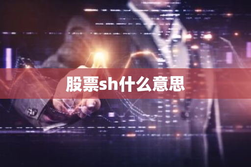 股票sh什么意思