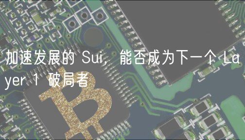 加速发展的 Sui，能否成为下一个 Layr 1 破局者