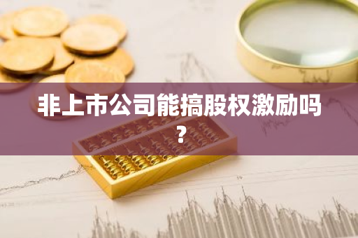 非上市公司能搞股权激励吗？