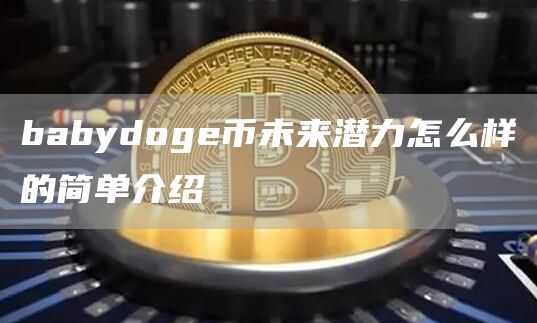 babydoge币未来潜力怎么样的简单介绍