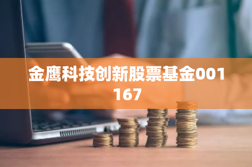 金鹰科技创新股票基金001167