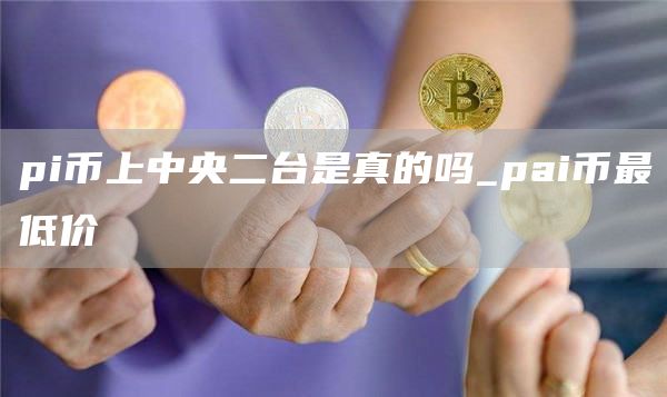 pi币上中央二台是真的吗_pai币最低价