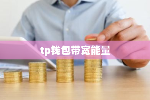 tp钱包带宽能量