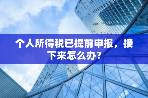 个人所得税已提前申报，接下来怎么办？